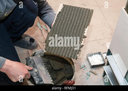 La main libre de constructeur ciment colle sur le frottis en carreaux de céramique avec une truelle pour colle dans la salle de bains privative. Concept Rénovation Réparation, révision, contrat carreleur Banque D'Images