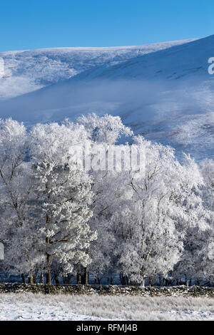 Les hivers encore matin près de Abingon dans la haute vallée de la Clyde, en Écosse, au Royaume-Uni. Banque D'Images