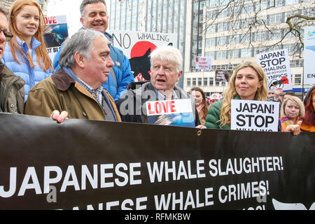 L'ancien ministre des Affaires étrangères, Boris Johnson's amie Carrie Symonds (R) avec le père de Boris Johnson Stanley Johnson (C) sont vus au cours de l'enlèvement des plaques holding protester contre la chasse baleinière japonaise dans le centre de Londres. Banque D'Images