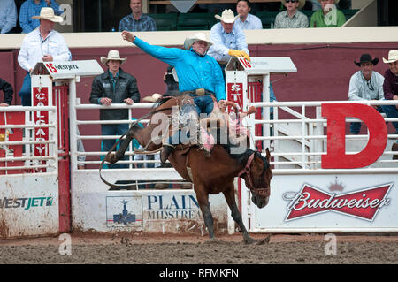 Saddle bronc race au Stampede de Calgary, Calgary, Alberta, Canada Banque D'Images