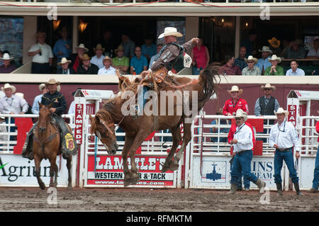 Saddle bronc race au Stampede de Calgary, Calgary, Alberta, Canada Banque D'Images