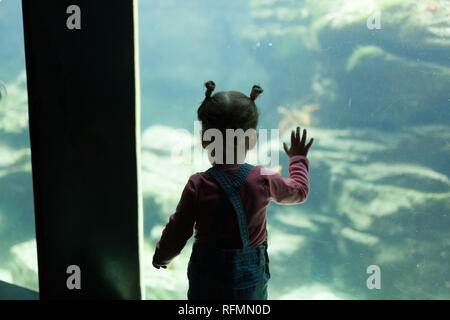 Petite fille regardant des poissons dans un grand aquarium dans l'Iroise, Brest, France 31 mai 2108. Banque D'Images