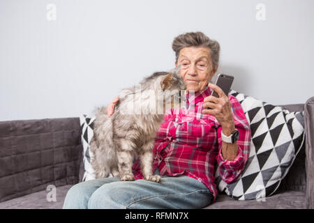 Très vieux portrait grand-mère avec les cheveux gris et les rides profondes assis accueil sur canapé dans des jeans et chemise avec shaggy moelleux gris cat et l'utilisation de s Banque D'Images