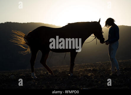 La silhouette de la jeune fille et un cheval au coucher du soleil dans un champ avec origine rurale. Banque D'Images