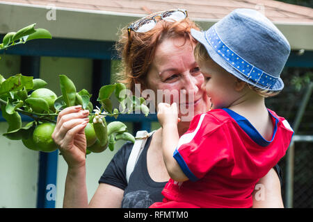 Le portrait d'une grand-mère et son petit-fils dans un jardin vert l'odeur des citrons sur un citronnier. Banque D'Images