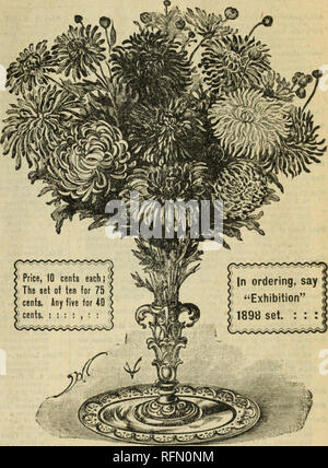 . Offre spéciale 25 magnifiques : bonnes affaires en roses, les bulbes, les plantes, les semences. Pépinière Ohio Springfield ; Catalogues Catalogues Catalogues fleurs roses ; ampoules ; (plantes) Catalogues. Greennouscs Ville Champion, Springfield, Ohio. u Exposition" 1898 &amp;je m^Chrysanthгёmes Chrysanthгёmes f- le nom sur cette page sont les meilleurs productions de toutes les expositions et des sources pour l'année 1898, nos clients peuvent compter sur eux d'être chacun et la couleur, comme très meilleurs prix ne sont pas donné jusqu'à l'arc les juges satisfaits qu'ils sont meilleurs que toutes les sortes. Ainsi si vous souhaitez être à dat Banque D'Images