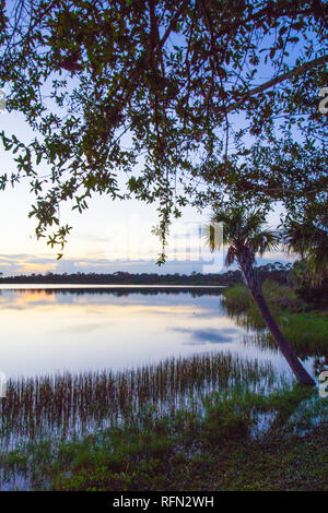 Coucher du soleil à George Lestrange Préserver, Fort Pierce, Floride Banque D'Images