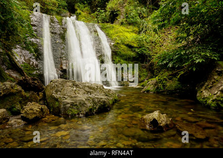 Une cascade de prêle en Nouvelle-Zélande en cascades d'un bassin profond encore dans les profondeurs d'une forêt, avec des rochers en premier plan. Ryde Falls, en Nouvelle-Zélande. Banque D'Images