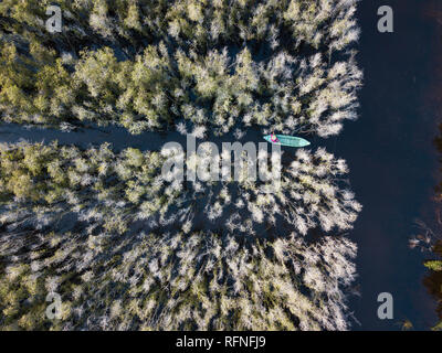 Vue aérienne de bateau en bois à une forêt de Melaleuca, dans le Delta du Mékong, Sud du Vietnam. Prises par drone (flycam). Banque D'Images