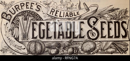 . Burpee's les prix pour 1897 : les meilleures semences que croître. Pépinière en Pennsylvanie Philadelphie ; Catalogues Catalogues Catalogues fleurs ; légumes ; les petits pois ; Catalogues Catalogues de semences. . Veuillez noter que ces images sont extraites de la page numérisée des images qui peuvent avoir été retouchées numériquement pour plus de lisibilité - coloration et l'aspect de ces illustrations ne peut pas parfaitement ressembler à l'œuvre originale.. W. Atlee Burpee Company ; Henry G. Gilbert Pépinière et du commerce de semences Catalogue Collection. Philadelphia, PA : W. Atlee Burpee Co. Banque D'Images