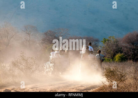 Lecteur de Safari dans le parc national de Ranthambore au Rajasthan, Inde Banque D'Images