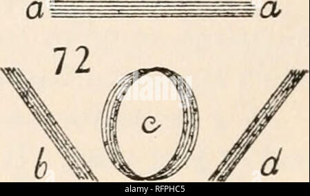 . Carnegie Institution of Washington publication. 96 L'interférométrie par déplacement. 56. Autres observations.-sans synchronisme dans les deux sys- tèmes vibrant (courant et téléphone), la motion de marge obtenue est presque inappreciable quand les courants de moyenne au sein de l'ordre de milliampères sont traités. C'est un curieux et un résultat décevant au premier abord. Aussitôt, cependant, comme synchronisme approximatif est établie, la sensibilité de l'appareil augmente énormément. Il est préférable à cette fin, modifier la période du moteur du générateur de courant alternatif par les rails rheo Banque D'Images