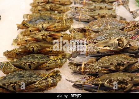 Marché des poissonniers Banque D'Images