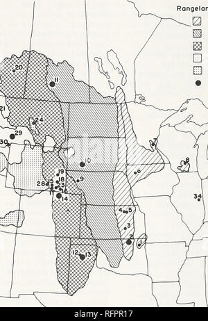 . Actes du Colloque sur la gestion des forêts et des Habitats pour la gamme Gibier, du 6 au 9 mai 1975, Tucson, Arizona. La conservation des oiseaux Les oiseaux ; Congrès Congrès de l'habitat ; la gestion des parcours d'amélioration de l'habitat de la faune ; congrès congrès. (Falconiformes), qui sont traitées ailleurs dans ce volume. Nous considérons donc le petit gibier (surtout des Passeriformes) occupant des habitats des parcours. Nous n'avons pas tenté de faire la synthèse des études menées dans la gamme alt- terres, mais croire que les tendances qui se dégagent de celles que nous avons inclus sont réels et général. L'avifaune la bas de données Banque D'Images