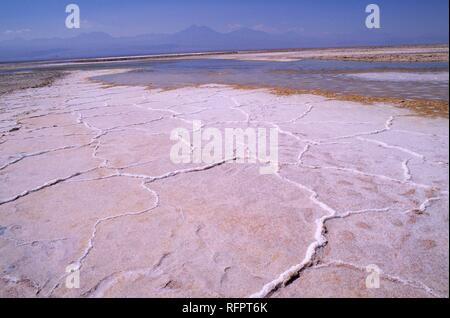 CHL, Chili, Désert d'Atacama : le lac de sel Salar de Atacama. Banque D'Images