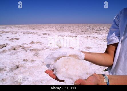 CHL, Chili, Désert d'Atacama : le lac de sel Salar de Atacama. Banque D'Images