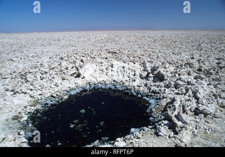 CHL, Chili, Désert d'Atacama : le lac de sel Salar de Atacama, trous d'eau. Banque D'Images