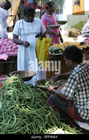 LKA, Sri Lanka, Galle : marché frais, tous les jours, fruits, légumes, herbes, sont vendus par les agriculteurs locaux. Banque D'Images