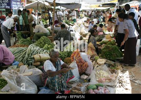 LKA, Sri Lanka, Galle : marché frais, tous les jours, fruits, légumes, herbes, sont vendus par les agriculteurs locaux. Banque D'Images