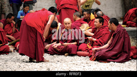 Débattre des moines dans le jardin de monastère de Séra, Lhassa, Tibet. Banque D'Images