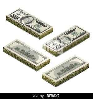 Des piles de mannequin d'une centaine de dollars US banknote, avant et arrière coupure détaillées en vue isométrique isolated on white Illustration de Vecteur