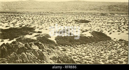 . Carnegie Institution of Washington publication. SALTON SEA UN ^. B. Veuillez noter que ces images sont extraites de la page numérisée des images qui peuvent avoir été retouchées numériquement pour plus de lisibilité - coloration et l'aspect de ces illustrations ne peut pas parfaitement ressembler à l'œuvre originale.. Carnegie Institution de Washington. Washington, Carnegie Institution of Washington Banque D'Images