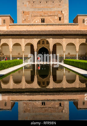 La Cour des Myrtes avec de l'eau extérieure réflexions, Palais Nasrides, Palais de l'Alhambra, Grenade, Andalousie, Espagne Banque D'Images