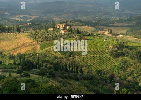 Typische toskanische Landschaft bei San Gimignano, Toscane, Italie | toscane typique paysage autour de San Gimignano, Toscane, Italie Banque D'Images