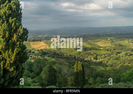 Typische toskanische Landschaft bei San Gimignano, Toscane, Italie | toscane typique paysage autour de San Gimignano, Toscane, Italie Banque D'Images