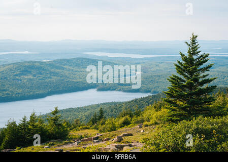 Vue de Cadillac Mountain, dans l'Acadia National Park, Maine Banque D'Images