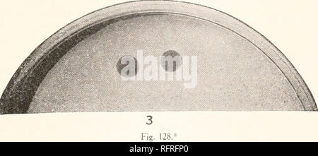 . Carnegie Institution of Washington publication. . De l'air est nécessaire et ilssont facilement obscurcie par la production d'alcali (ammoniaque). Il n'est pas visible comme un réducteur de l'épreuve décisive. La réduction de ses pouvoirs sont variables. Parfois certains l'hydrogène sulfuré est formé. Dans le chou-bouillons contenant l'organisme décisif *Fig. 128.-cultures pétri de bactérie campestre, montrant le caractère de colonies et l'effet de la densité sur la taille. Cultures 8 jours vieux à température ambiante. Fig. 1 et 2 contiennent des cristaux en raison de la croissance de l'organisme dans  +15 agar. Petits points sont ensevelis colonies ; moyennes faible co Banque D'Images