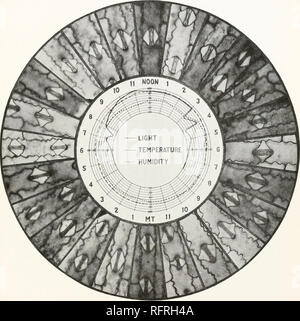 . Carnegie Institution of Washington publication. Plaque d'LOFTFIELD 9 TEMPÉRATURE DE LA LUMIÈRE. Série 16, montrant les stomates de maïs, X 240, et facteurs pendant une journée de 24 heures.. Veuillez noter que ces images sont extraites de la page numérisée des images qui peuvent avoir été retouchées numériquement pour plus de lisibilité - coloration et l'aspect de ces illustrations ne peut pas parfaitement ressembler à l'œuvre originale.. Carnegie Institution de Washington. Washington, Carnegie Institution of Washington Banque D'Images