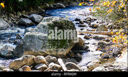 L'exécution de Creek à travers des roches et des pierres à l'origine de l'eau blanche sur une journée ensoleillée d'automne Banque D'Images