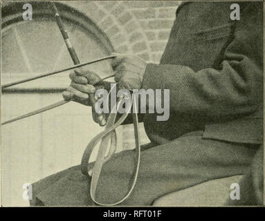 . Les soins des chevaux : un livre pratique pour tous ceux qui ont charge de chevaux. Les chevaux. 38 LES SOINS DES CHEVAUX d'étude, puis, cette question de bien les mains, et vous obtiendrez plus que doubler la quantité de plaisir hors de vos parcours. ' Sur le box' vous devez être tout aussi prudent et réfléchi. Chaque mouvement de la part du conducteur est reproduit sur la bouche du cheval. Rester assis et garder vos mains fermes et stables. Maintenez votre cheval. Photo par [W. Shawcross. FIG. 19.-LA POSITION CORRECTE POUR LES MAINS ET LES BRAS EN ROULANT. bien en descente, et qu'il '' ont la tête montée. Les rênes doivent être tenues en Banque D'Images