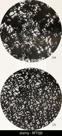 . Carnegie Institution of Washington publication. &Gt;S.VI 266. 2tl.") et 2l")ri. Brniliirn pedunriihiriit. '2Li7 2 iuiil liriiiliiiii ixioiili(Est.^» xploiiliiis var. 2l)'.l et 271). Br&lt;iilt(i(j'amilida.. Veuillez noter que ces images sont extraites de la page numérisée des images qui peuvent avoir été retouchées numériquement pour plus de lisibilité - coloration et l'aspect de ces illustrations ne peut pas parfaitement ressembler à l'œuvre originale.. Carnegie Institution de Washington. Washington, Carnegie Institution of Washington Banque D'Images