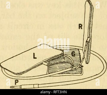 . Carnegie Institution of Washington publication. 154 vitalité et l'efficacité avec régime restreint.. le bord de la bande métallique et tous étaient fixées à la sentir à l'arrière. Un câble téléphonique de 4 pieds, avec fils désigné, qui se termine par l'habituel bouchon standard raccord dans le récipient ordinaire était employé à des fins de connexion. Cette offre de connexion très rapide et bon contact. La gaze sur le visage de la DPA a été imbibé d'une solution saturée de chlorure de sodium. Les protections R et L ont été mises en contact avec la peau sur les côtés gauche et droit de l'objet ; G a été plac Banque D'Images