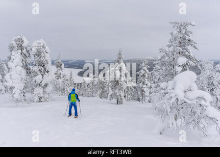 Randonneur sur raquettes entre les arbres gelés près de Pyha en Laponie, Finlande Banque D'Images