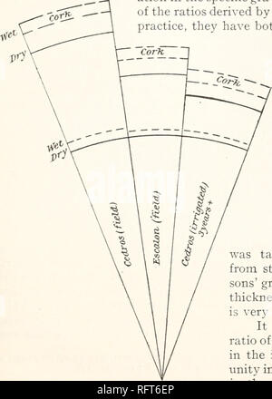 . Carnegie Institution of Washington publication. Anatomie et histologie. 117 Matériel de contrôle ramollie dans une chambre humide. Mais l'erreur minime, moins de 1  %, est d'importance que lorsque de telles données sont utilisées dans de grands calculs. À partir de l'actuel point de vue une méthode volumétrique est de plus de valeur que la pesée, depuis les ratios obtenus par ce dernier sont perturbées par diffé- ation dans le poids spécifique ; mais qu'une comparaison des ratios obtenus par les deux méthodes est d'utiliser dans la pratique, ils ont tous deux été mis en place. Pour des raisons similaires, il est im- portant de connaître les ratios dérivés de sécher Banque D'Images