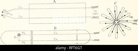 . Carnegie Institution of Washington publication. 3Q'UNE ÉTUDE PHYSIQUE DU FIREFLY. pas de différence appréciable pour exposer les deux jonctions ou seulement l'obscurité junc- tion au rayonnement. C'est en partie à cause de la petitesse de la lumineuse junction. La source rayonnante d'un tel test de la bougie par thermopile mais a peu de sens en raison de l'absorption par les parois de verre, qui peut-être absorber 40 à 50  % du rayonnement incident. Le test a été appliqué, cependant, offrir une déviation de 2,5 cm. Pour un sperme bougie à 2 mètres et la sensibilité du galvanomètre de 2  = 3 x io-10 amp., ou 10 cm. Pour une bougie Banque D'Images