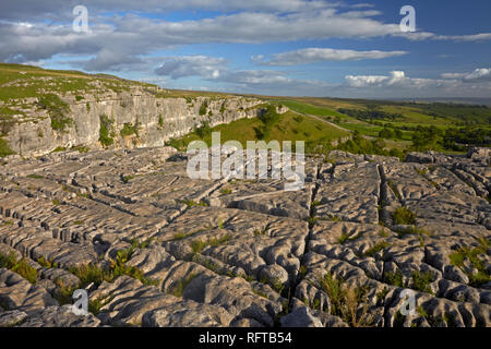 Le lapiez sur le haut de Malham Cove, North Yorkshire, Angleterre, Royaume-Uni, Europe Banque D'Images