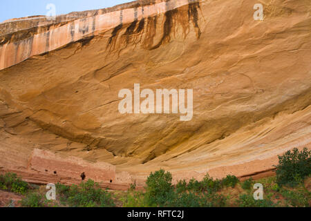 16 Pièces Ruines Anasazi, Pueblo ancestrales, Réserve Navajo, près de Bluff, Utah, États-Unis d'Amérique, Amérique du Nord Banque D'Images