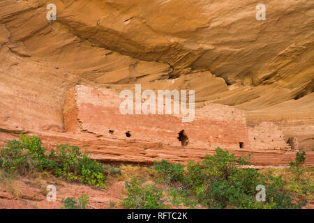 16 Pièces Ruines Anasazi, Pueblo ancestrales, Réserve Navajo, près de Bluff, Utah, États-Unis d'Amérique, Amérique du Nord Banque D'Images