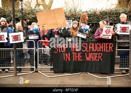 Plus de mille personnes se sont rassemblés à Cavendish Square, pour s'opposer et montrer leur indignation contre le décision de quitter la Commission baleinière internationale afin de reprendre la chasse commerciale. Stanley Johnson, Boris Johnson père et actuelle petite amie Carrie Symonds étaient également présents. La protestation ont marché vers l'ambassade du Japon, où le rallye a continué de façon pacifique. Banque D'Images
