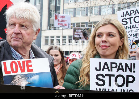 Le centre de Londres, UK 26 Jan 2019 - L'ancien ministre des Affaires étrangères, Boris Johnson's amie Carrie Symonds (R) participe à la manifestation contre la chasse baleinière japonaise de démonstration dans le centre de Londres avec Stanley Johnson (L). Credit : Dinendra Haria/Alamy Live News Banque D'Images