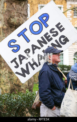 Londres, Royaume-Uni. 26 janvier, 2019. Un homme est vu holding a placard pendant la manifestation contre la chasse baleinière japonaise dans le centre de Londres. Credit : Dinendra Haria SOPA/Images/ZUMA/Alamy Fil Live News Banque D'Images