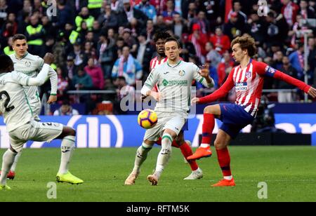 Madrid, Espagne. 26 janvier, 2019. L'Atletico Madrid Antoine Griezmann (1e R) est en compétition au cours d'un match de championnat espagnol entre l'Atletico Madrid et Getafe à Madrid, Espagne, le 26 janvier 2019. L'Atletico Madrid a gagné 2-0. Crédit : Edward F. Peters/Xinhua/Alamy Live News Banque D'Images