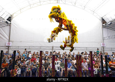 Beijing, Chine. 26 janvier, 2019. Les participants effectuent au cours de la 12e Concours International de Danse du lion dans le quartier chinois de Singapour, le 26 janvier 2019, pour saluer la nouvelle année lunaire chinoise. Credit : Puis Chih Wey/Xinhua/Alamy Live News Banque D'Images