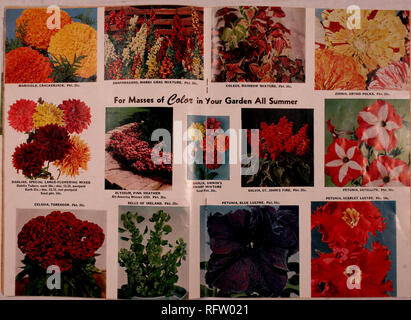 . Capitol city seeds pour 1959. Pépinières (Horticulture) ; catalogues de bulbes (plantes) ; Catalogues Catalogues légumes ; outils de jardin ; Catalogues Catalogues de graines. . Veuillez noter que ces images sont extraites de la page numérisée des images qui peuvent avoir été retouchées numériquement pour plus de lisibilité - coloration et l'aspect de ces illustrations ne peut pas parfaitement ressembler à l'œuvre originale.. F. W. Bolgiano &AMP ; Co ; Henry G. Gilbert Pépinière et du commerce de semences Catalogue Collection. Washington, D. C. : F. W. Bolgiano Banque D'Images