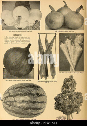 . Ville capitale de semences pour 1945. Pépinières (Horticulture) ; catalogues de bulbes (plantes) ; Catalogues Catalogues légumes ; outils de jardin ; Catalogues Catalogues de graines. 263. Queen Dixie Pastèque. Pkt. 10c. Veuillez noter que ces images sont extraites de la page numérisée des images qui peuvent avoir été retouchées numériquement pour plus de lisibilité - coloration et l'aspect de ces illustrations ne peut pas parfaitement ressembler à l'œuvre originale.. F. W. Bolgiano &AMP ; Co ; Henry G. Gilbert Pépinière et du commerce de semences Catalogue Collection. Washington, D. C. : F. W. Bolgiano Banque D'Images