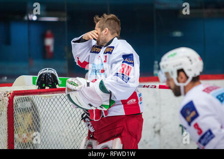 ZAGREB, CROATIE - 30 décembre 2018 : EBEL match ligue de hockey sur glace entre Medvescak Zagreb et KAC. Gardien de but de hockey. Banque D'Images